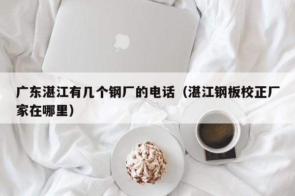 广东湛江有几个钢厂的电话（湛江钢板校正厂家在哪里）