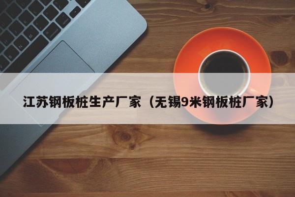 江苏钢板桩生产厂家（无锡9米钢板桩厂家）